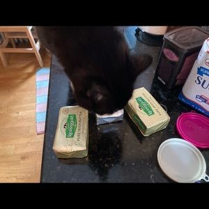 Meet your Posher, Jen